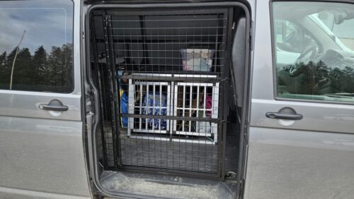 Koiraveräjä VW Transporter